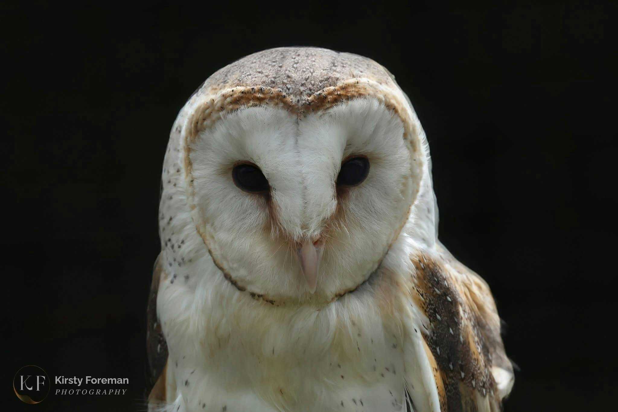 F5498E7Db8E71Fa2A5D0E104C82777Dd