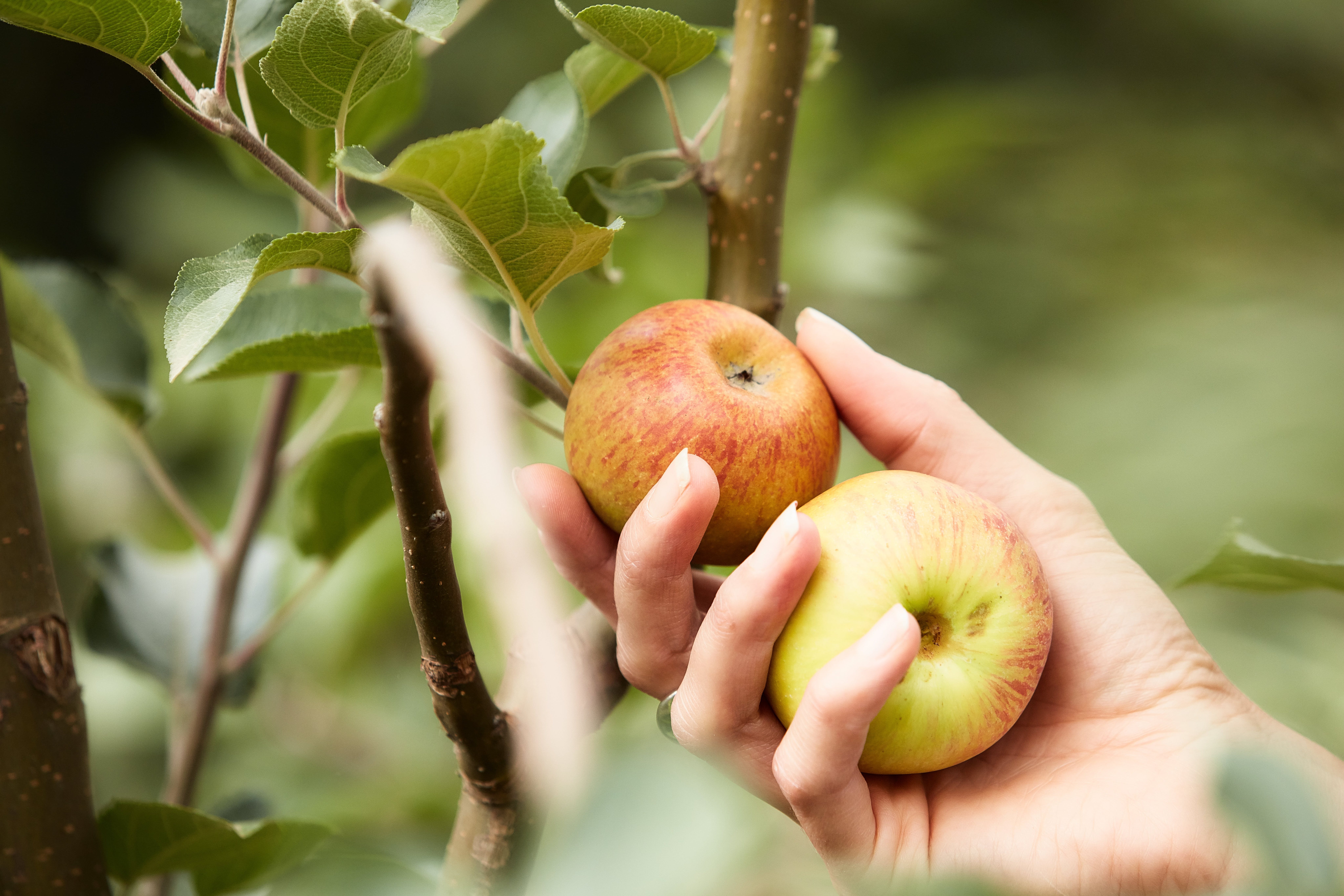 F5Bac1966F9B8B47F46F11591Eaae1A8