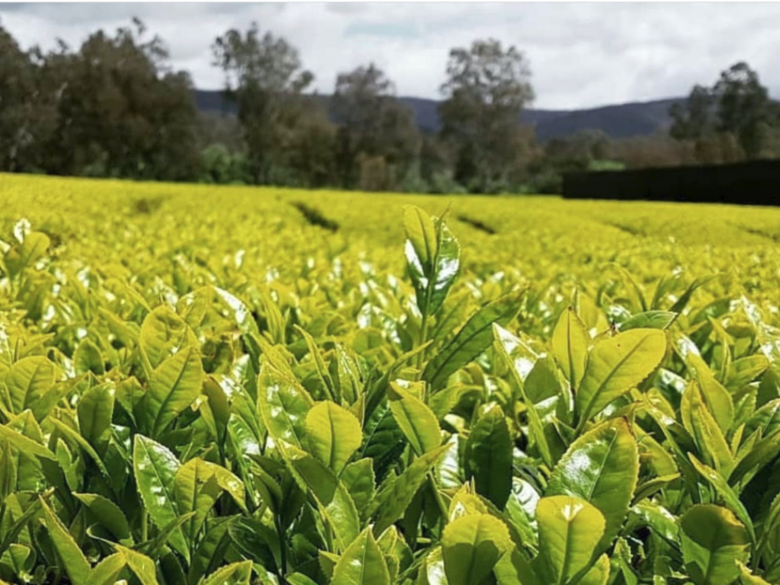 F7De758E4Afbb6C1945D2Eb8B273C101