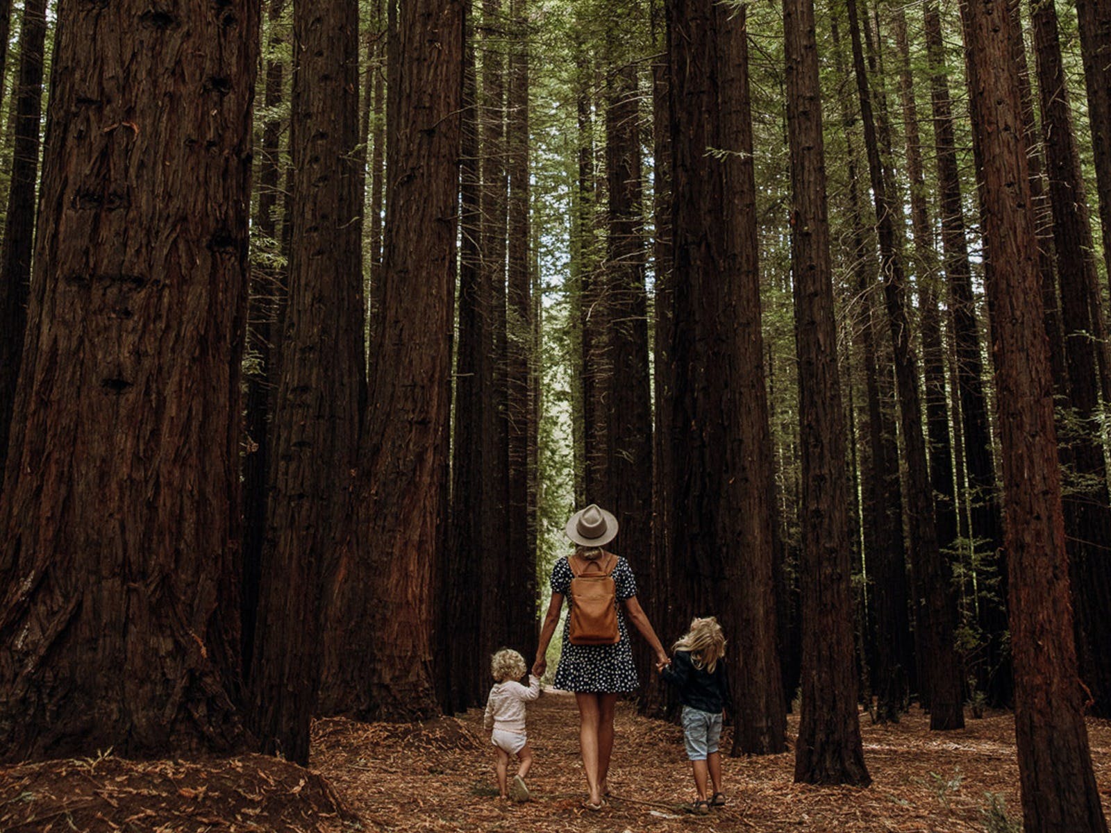 F8A751D179A7A7B7B4F197D65Cec8A87