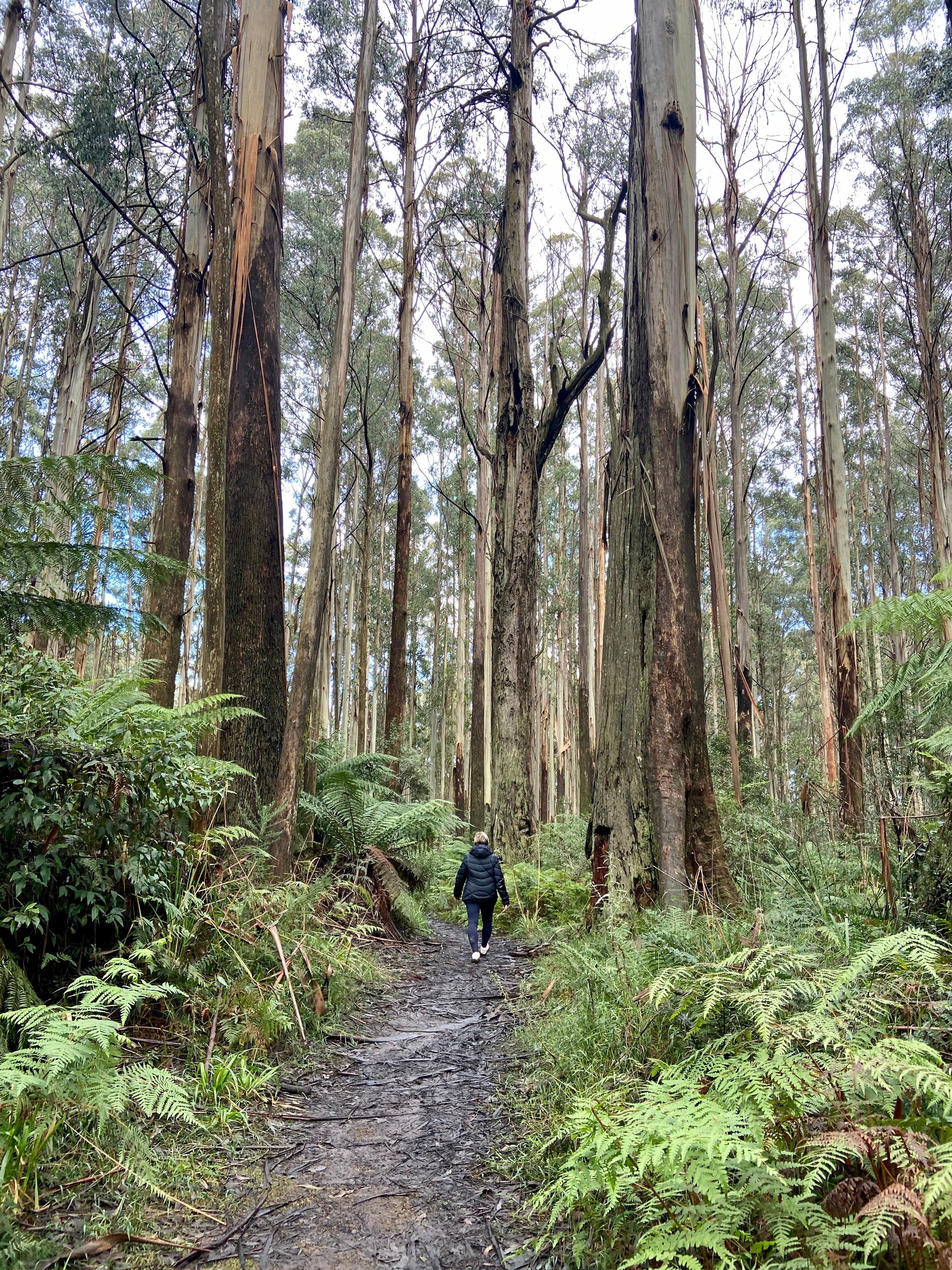 F9A31C1Ae0436Abfe0875F761E5Fc17C