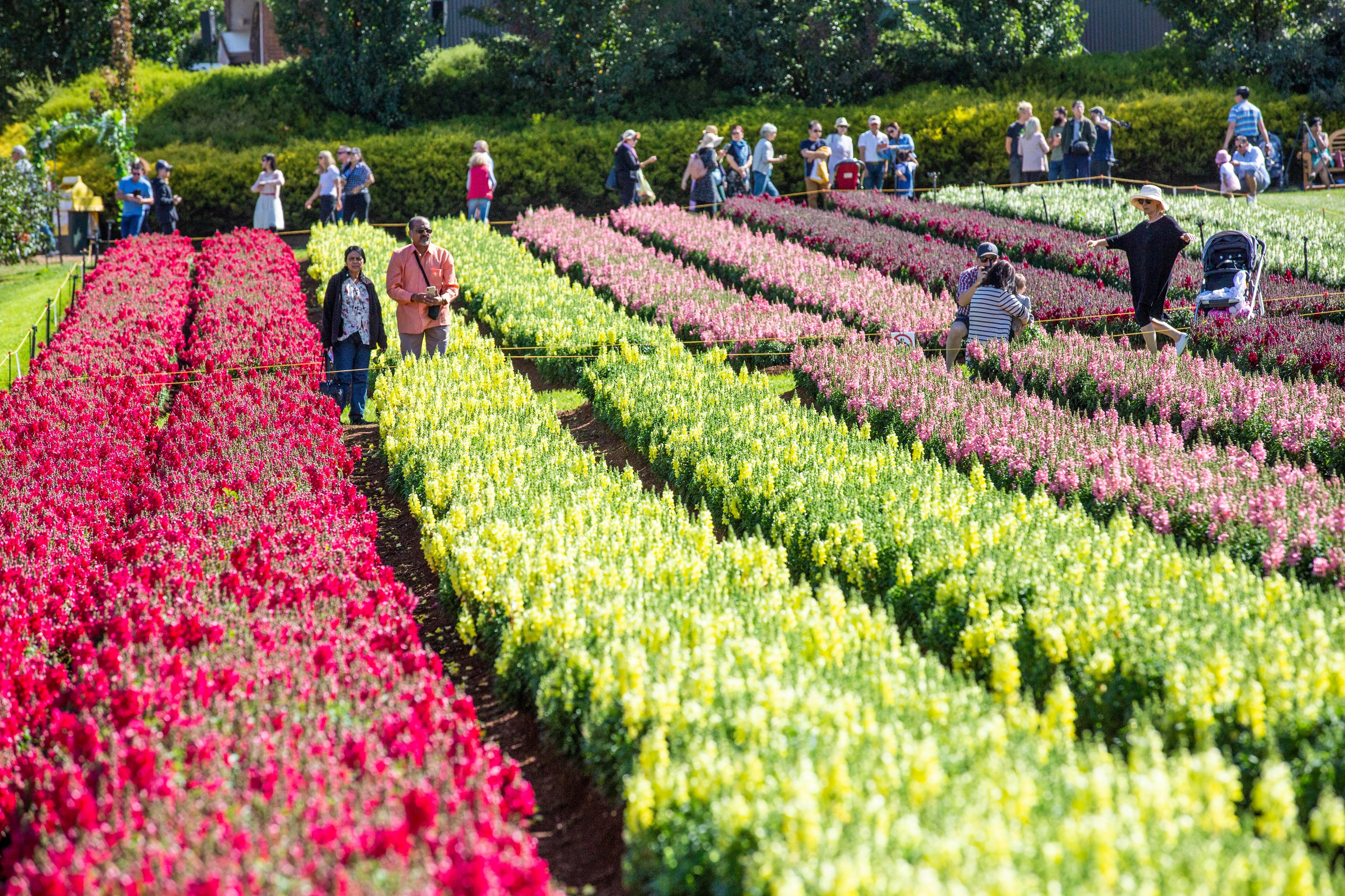 F9Dc9Ebb76D94Fed99Ff33A60B4Ec031