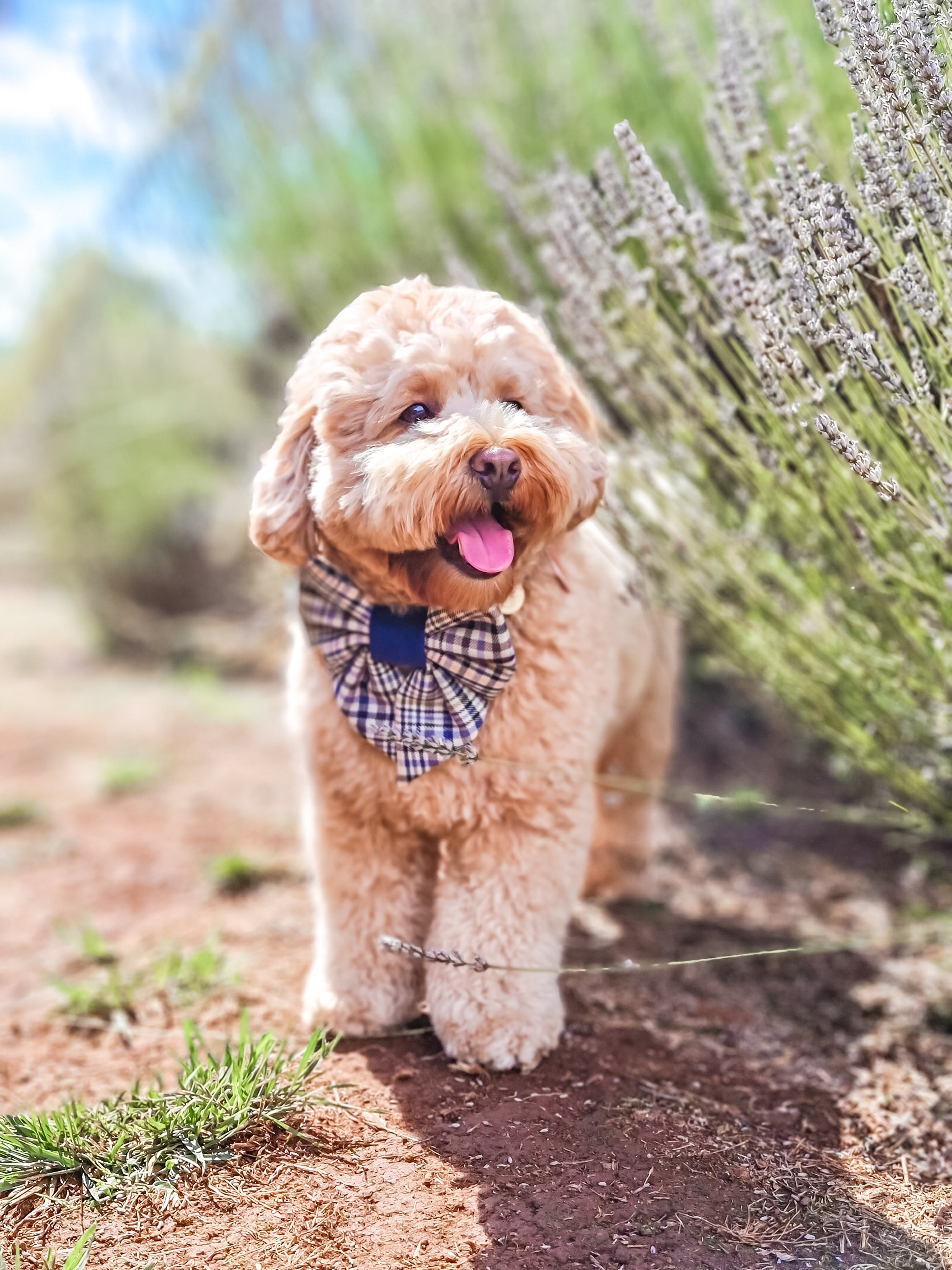 Fac17D5609859975A897Dca22Bee2Ec4