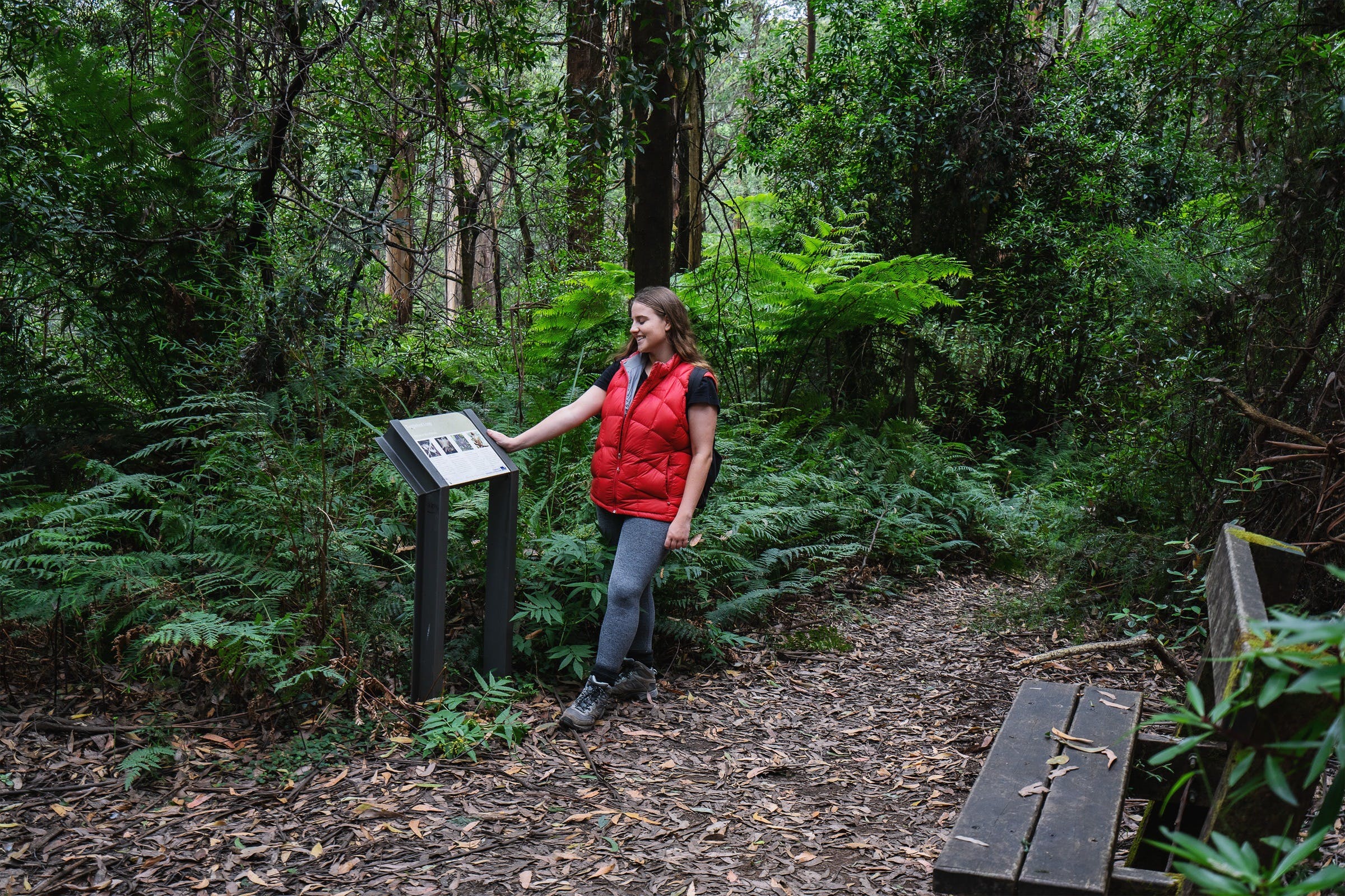 Fb6B37D00A9F43F14Ea9E50C211Ab5Cf