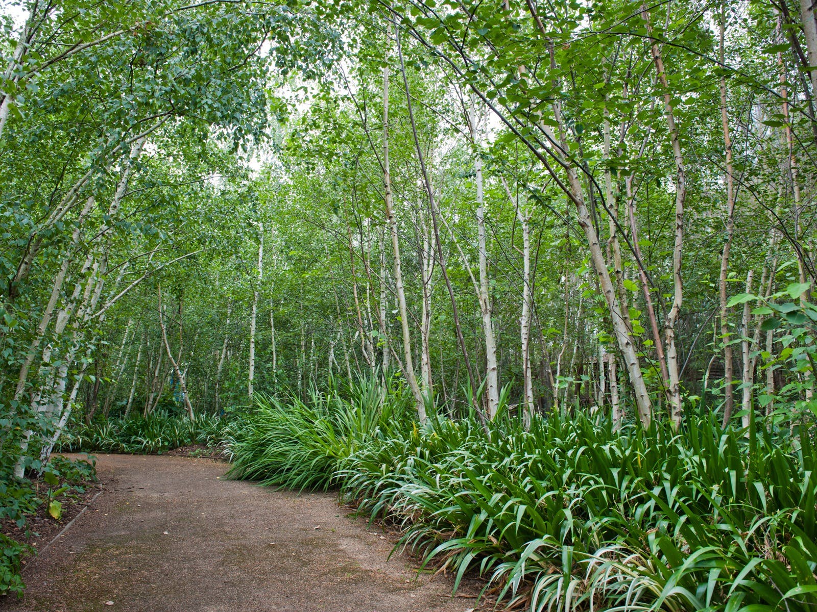 Fe31Ad88Ddbc796Ad016Fd802E76D385