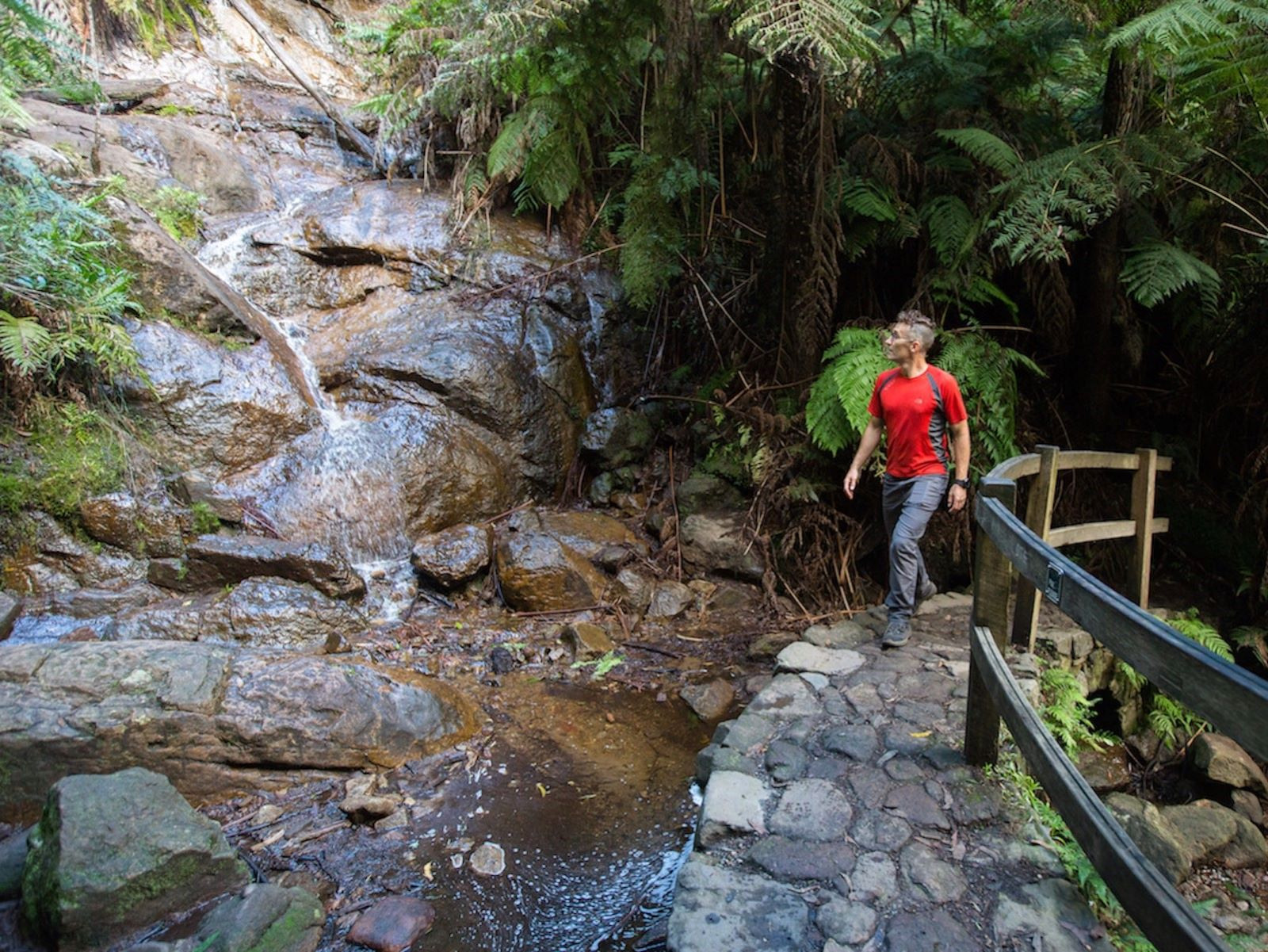 La La Falls Trail Visit Yarra Valley & Dandenong Ranges