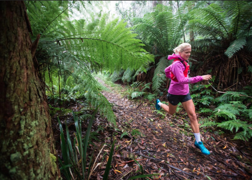 Mt donna buang walking track