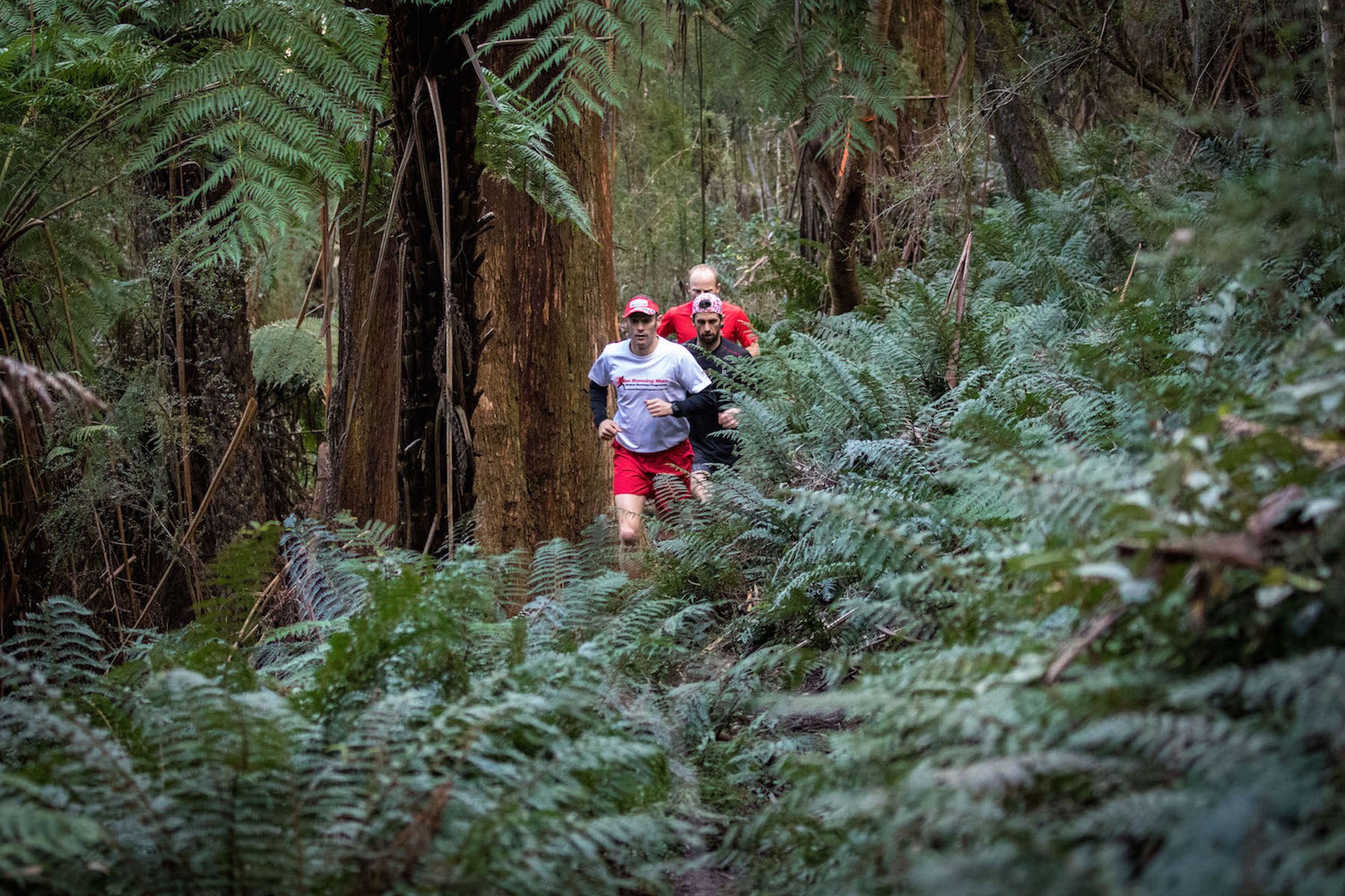 Mt victoria donna buang