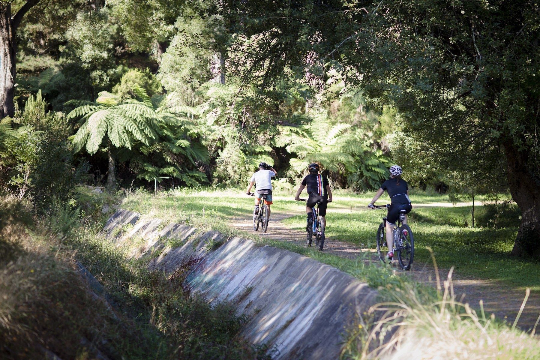 O'Shannassy Aqueduct Trail | Visit Yarra Valley & Dandenong Ranges