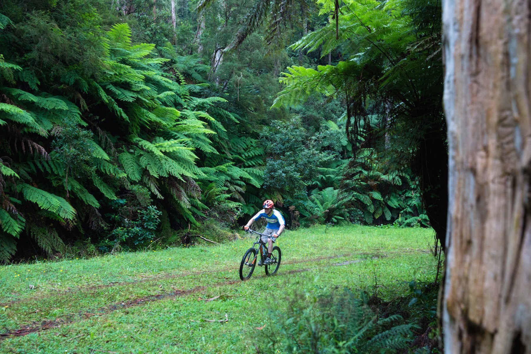 Oshannassy aqueduct east ride 01