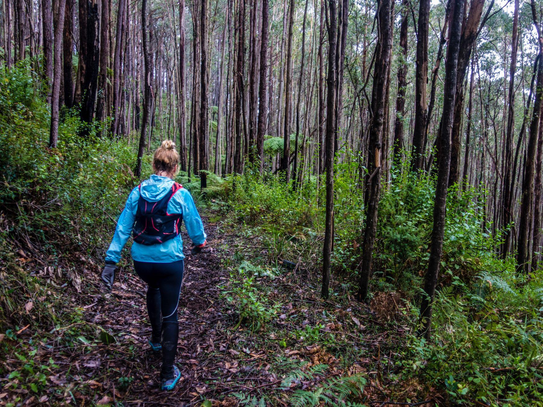 Richards tramline walk 01