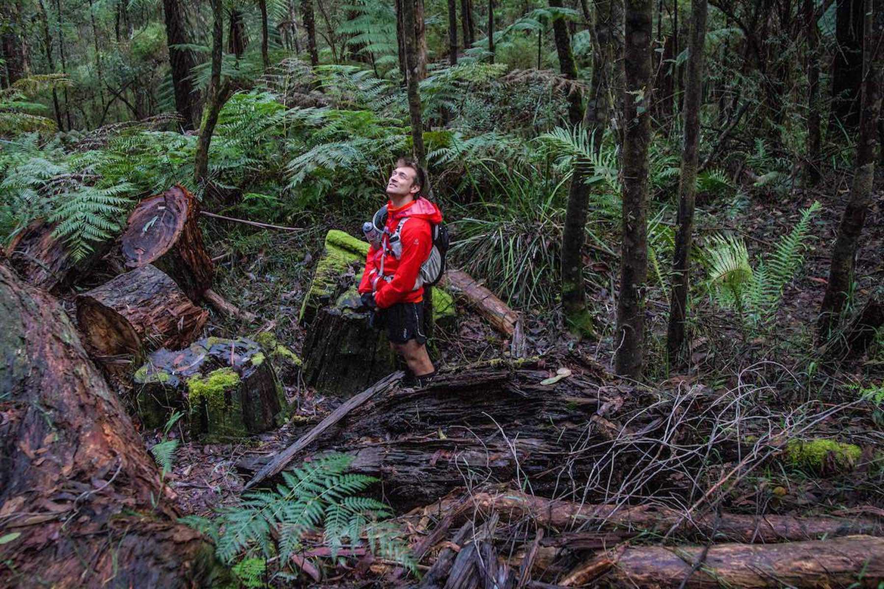 Richards tramline walk 02