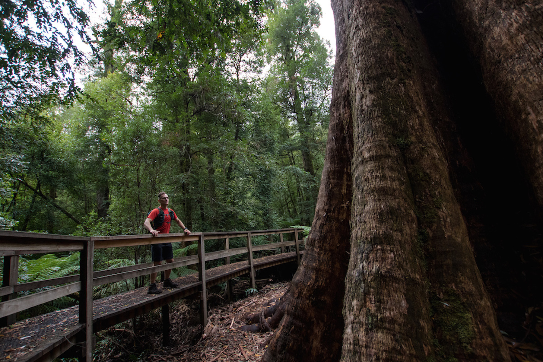 Walk into history walk 04