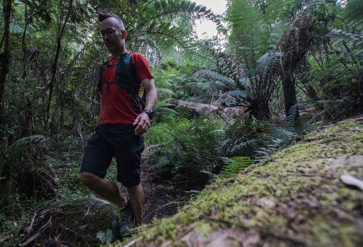 Warburton backstairs track littlejoe