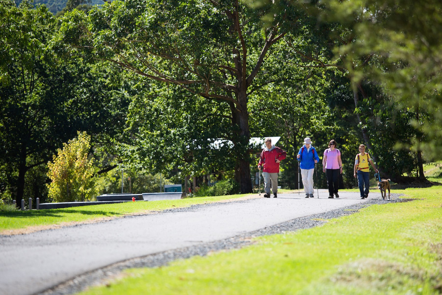 Warburton loop walk 01