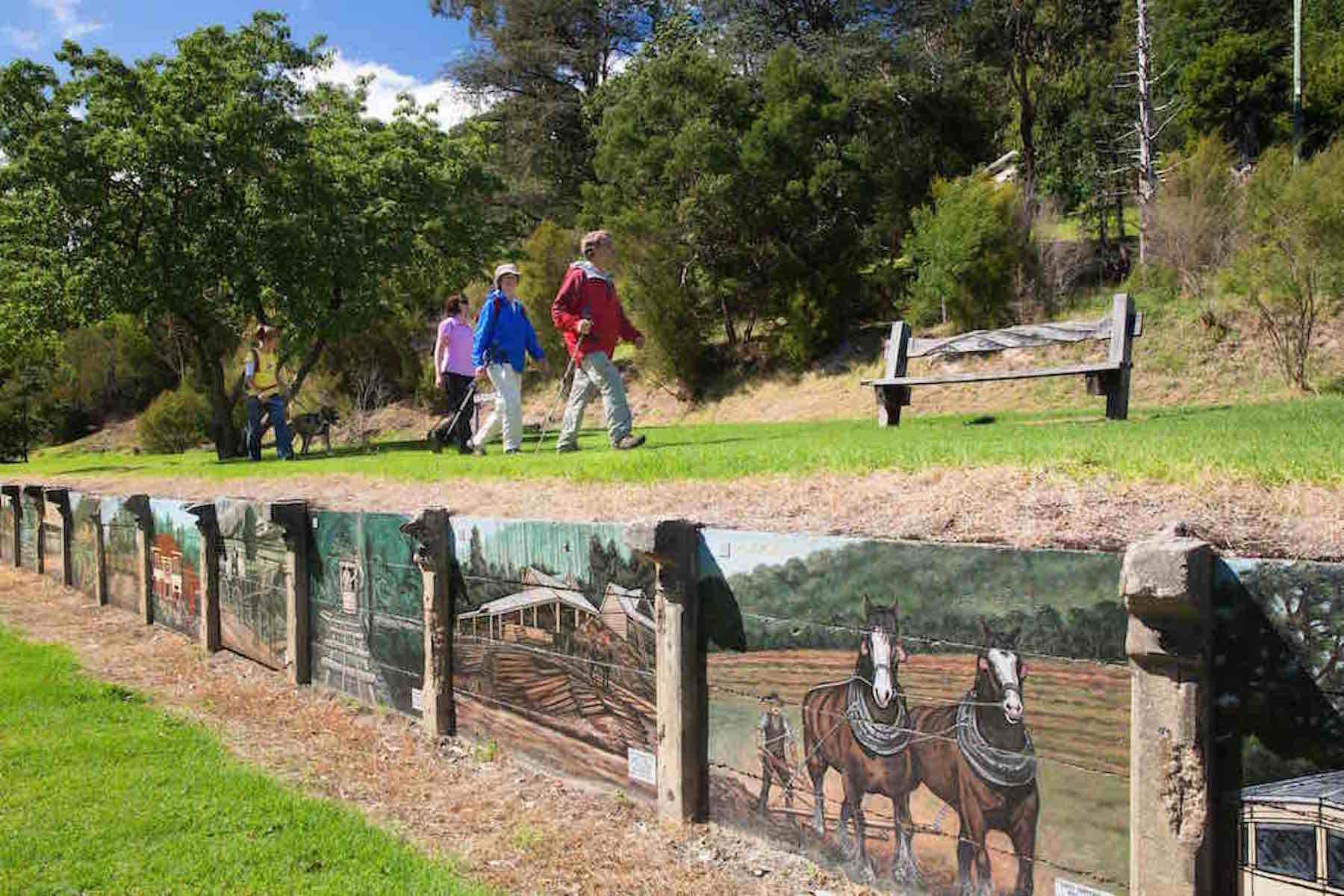 Warburton loop walk 02